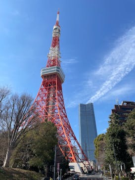 東京タワーに投稿された画像（2024/2/10）