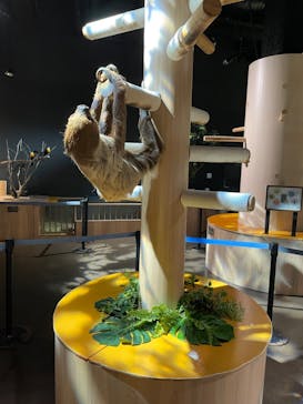 DMMかりゆし水族館に投稿された画像（2024/2/10）