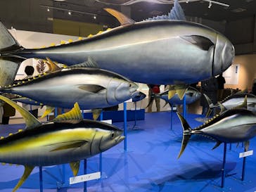 特別展「和食 ～日本の自然、人々の知恵～」に投稿された画像（2024/2/10）