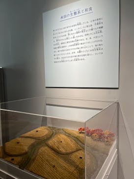 特別展「和食 ～日本の自然、人々の知恵～」に投稿された画像（2024/2/10）