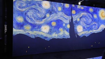 ゴッホ・アライブに投稿された画像（2024/2/10）