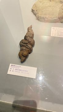 福井県立恐竜博物館に投稿された画像（2024/2/10）