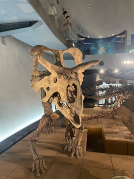 福井県立恐竜博物館に投稿された画像（2024/2/10）