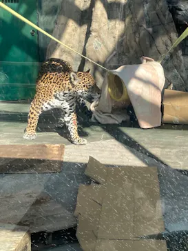 天王寺動物園に投稿された画像（2024/2/10）