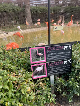 天王寺動物園に投稿された画像（2024/2/10）