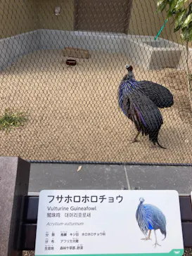 天王寺動物園に投稿された画像（2024/2/10）