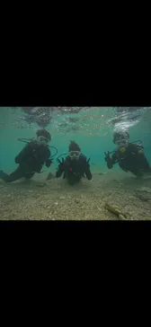 武藤潜水に投稿された画像（2024/2/10）