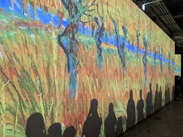 ゴッホ・アライブに投稿された画像（2024/2/10）