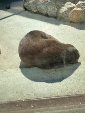 横浜・八景島シーパラダイスに投稿された画像（2024/2/10）