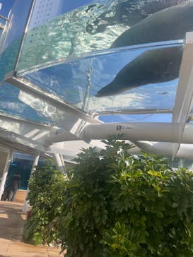 サンシャイン水族館に投稿された画像（2024/2/10）