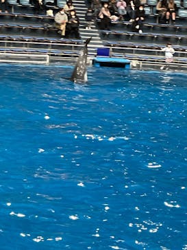 マクセル アクアパーク品川に投稿された画像（2024/2/10）