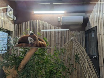 熱川バナナワニ園に投稿された画像（2024/2/10）