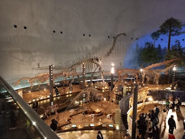 福井県立恐竜博物館に投稿された画像（2024/2/10）