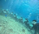 青の洞窟専門店　沖縄ダイビングショップ和に投稿された画像（2024/2/10）