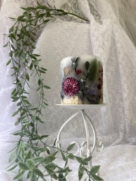 ずこうしつ〜sugamo〜に投稿された画像（2024/2/10）