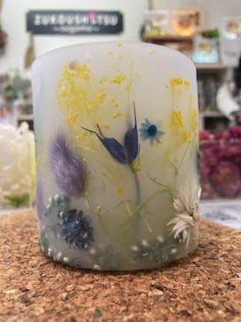 ずこうしつ〜sugamo〜に投稿された画像（2024/2/10）