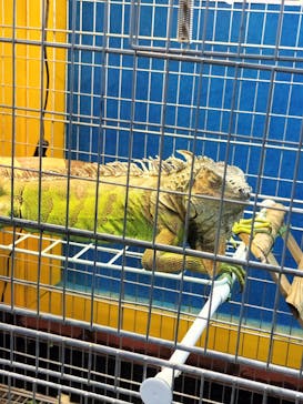 いきもの探検隊上尾に投稿された画像（2024/2/10）