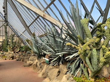 伊豆シャボテン動物公園に投稿された画像（2024/2/10）