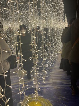 ゴッホ・アライブに投稿された画像（2024/2/10）