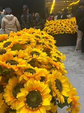 ゴッホ・アライブに投稿された画像（2024/2/10）