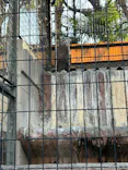 天王寺動物園に投稿された画像（2024/2/10）
