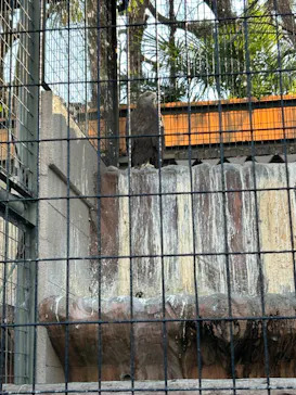 天王寺動物園に投稿された画像（2024/2/10）