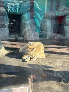 天王寺動物園に投稿された画像（2024/2/10）