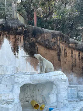 天王寺動物園に投稿された画像（2024/2/10）