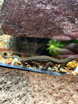 天王寺動物園に投稿された画像（2024/2/10）