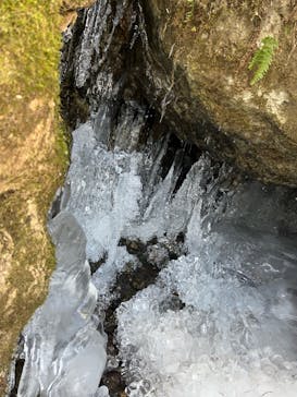 青空ファンに投稿された画像（2024/2/10）