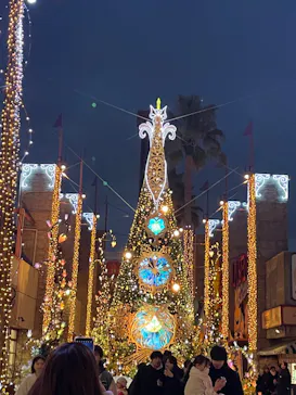 ひらかたパークに投稿された画像（2024/2/10）