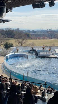 京都水族館に投稿された画像（2024/2/10）
