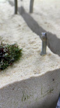 京都水族館に投稿された画像（2024/2/10）