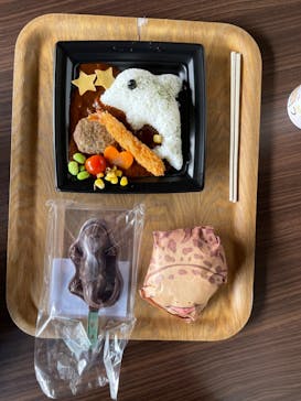 京都水族館に投稿された画像（2024/2/10）