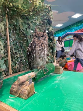 いきもの探検隊上尾に投稿された画像（2024/2/10）