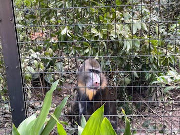 到津の森公園に投稿された画像（2024/2/10）