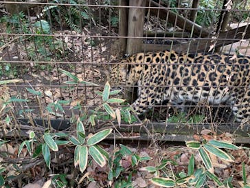 よこはま動物園ズーラシアに投稿された画像（2024/2/10）