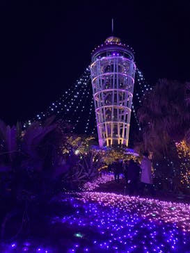 江の島シーキャンドルに投稿された画像（2024/2/10）