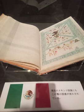 特別展「古代メキシコ ーマヤ、アステカ、テオティワカン」に投稿された画像（2024/2/10）
