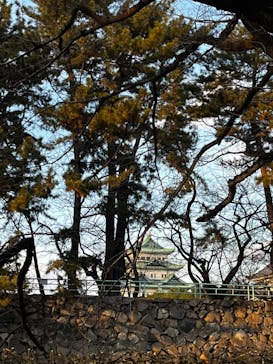 川次に投稿された画像（2024/2/10）