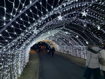 鹿児島イルミナージュに投稿された画像（2024/2/10）