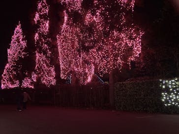 NESTA RESORT KOBE（ネスタリゾート神戸）に投稿された画像（2024/2/10）