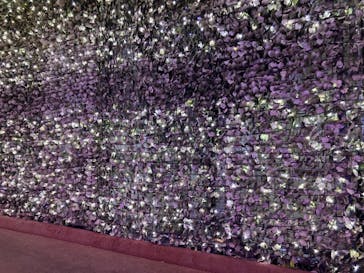 NESTA RESORT KOBE（ネスタリゾート神戸）に投稿された画像（2024/2/10）