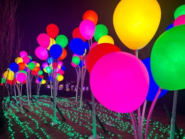 修善寺虹の郷に投稿された画像（2024/2/10）