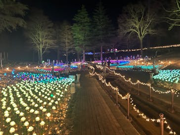 修善寺虹の郷に投稿された画像（2024/2/10）