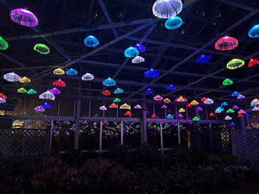 修善寺虹の郷に投稿された画像（2024/2/10）