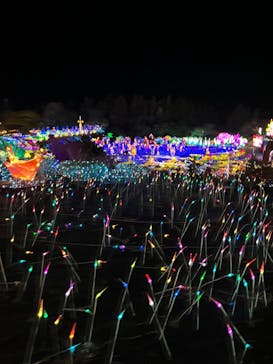 伊豆ぐらんぱる公園に投稿された画像（2024/2/10）