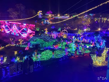 伊豆ぐらんぱる公園に投稿された画像（2024/2/10）