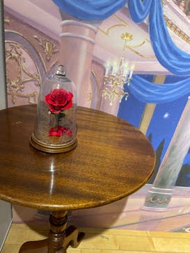 ディズニー・アニメーション・イマーシブ・エクスペリエンスに投稿された画像（2024/2/10）