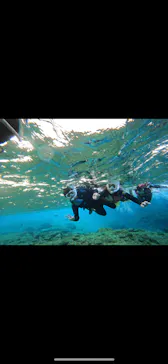 武藤潜水に投稿された画像（2024/2/11）